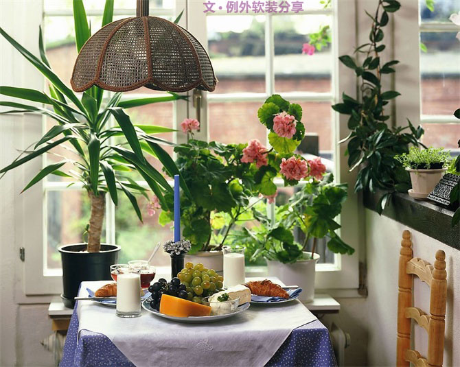 家里植物這樣擺，打造”另類“居室（一）